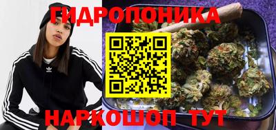 стафф Мариинск