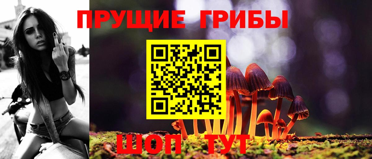 Галлюциногенные грибы Magic Shrooms Гуково